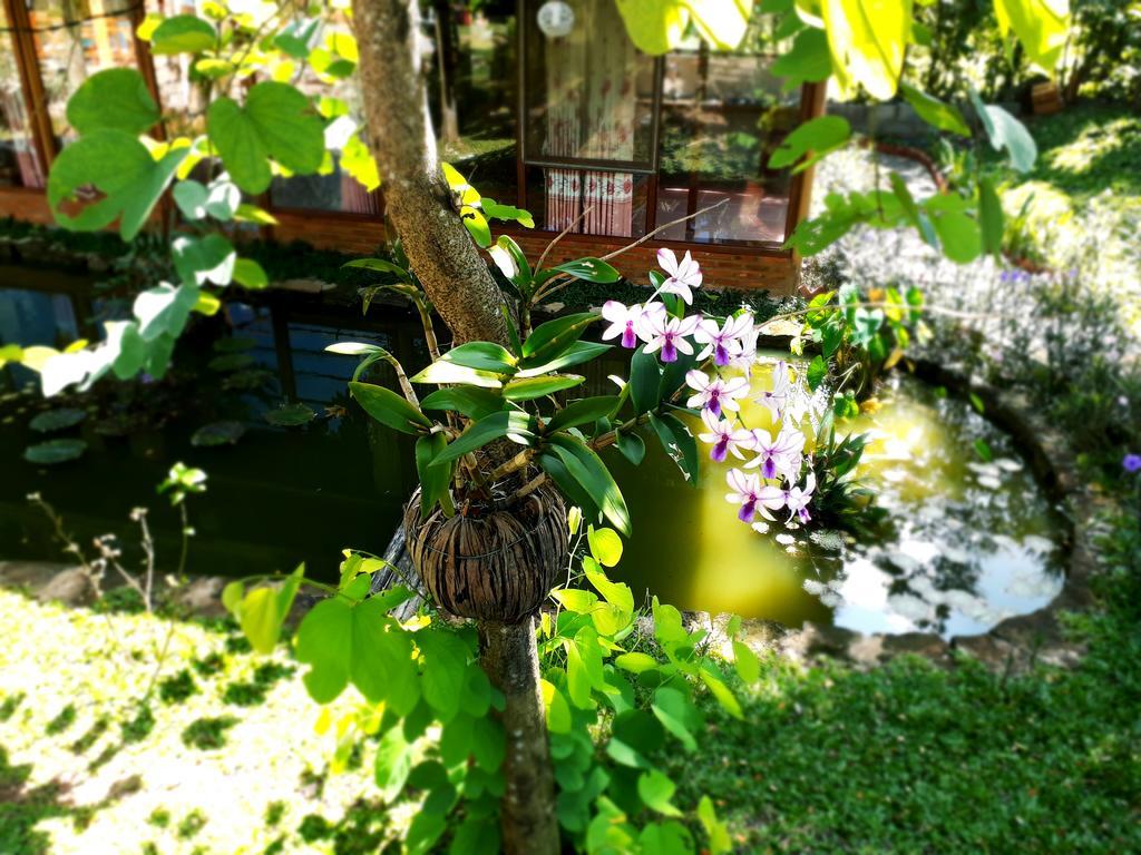 Phu Quoc Sen Lodge Bungalow Village Eksteriør bilde